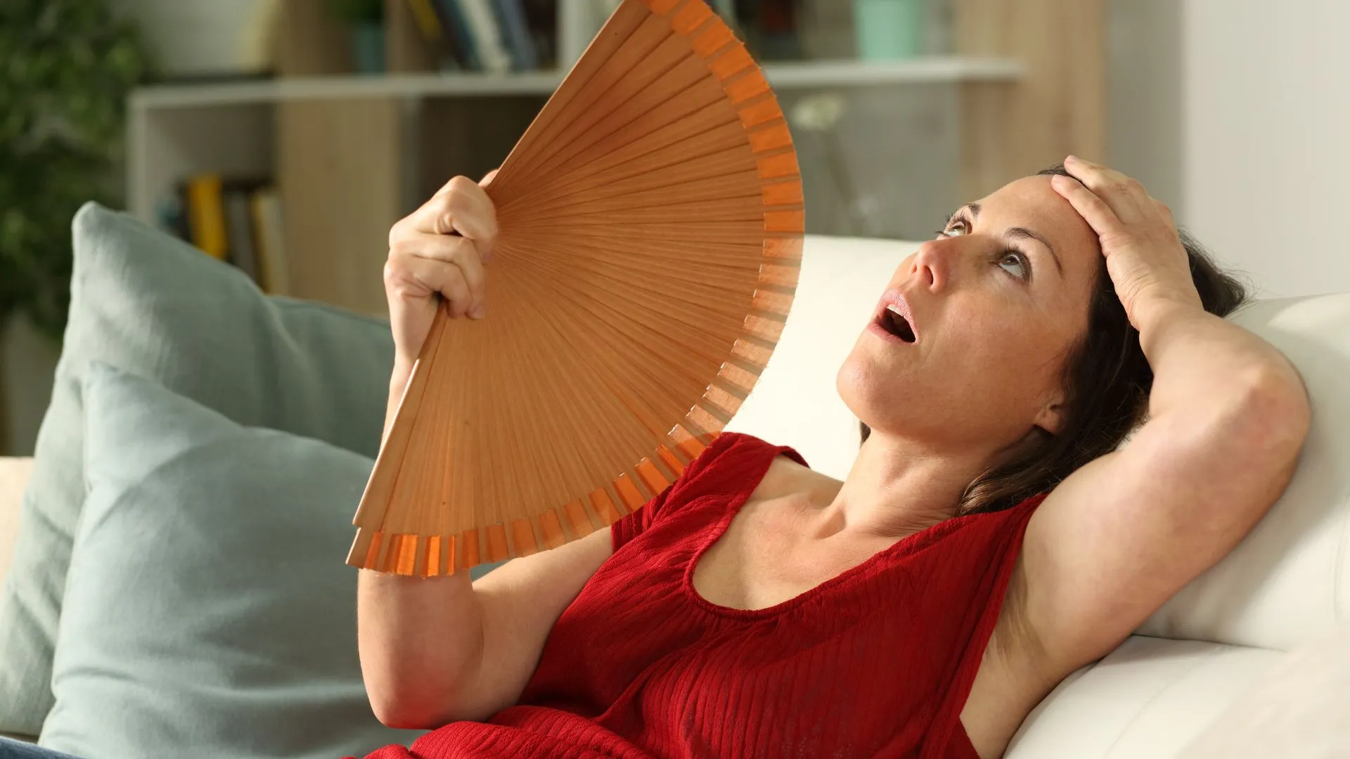 Menopausal package