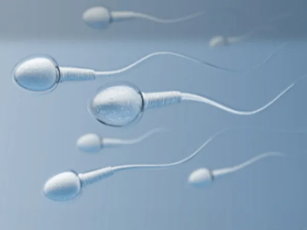 Egg & Sperm Donor Programme