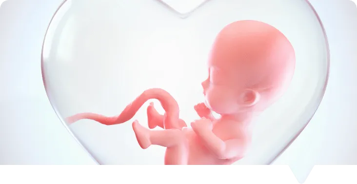 Foetal Medicine
