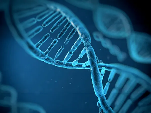 Preimplantation Genetic Testing (PGT)