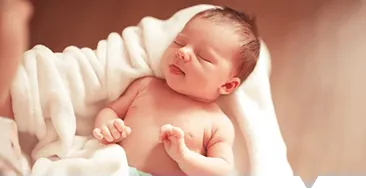 Gynaecology