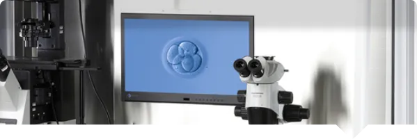 IUI (Intrauterine Insemination)