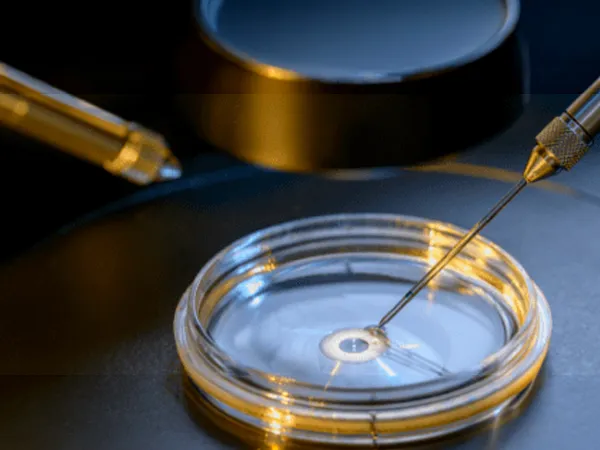 IVF Treatment in Ahmedabad