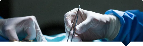 The Mayflower Endometriosis (M.E.) Protocol
