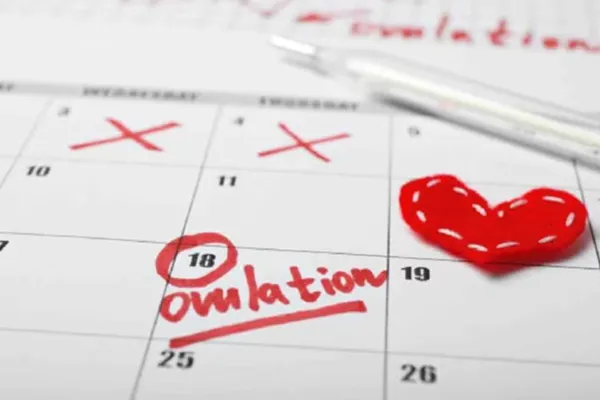 How ovulation period affects your mood