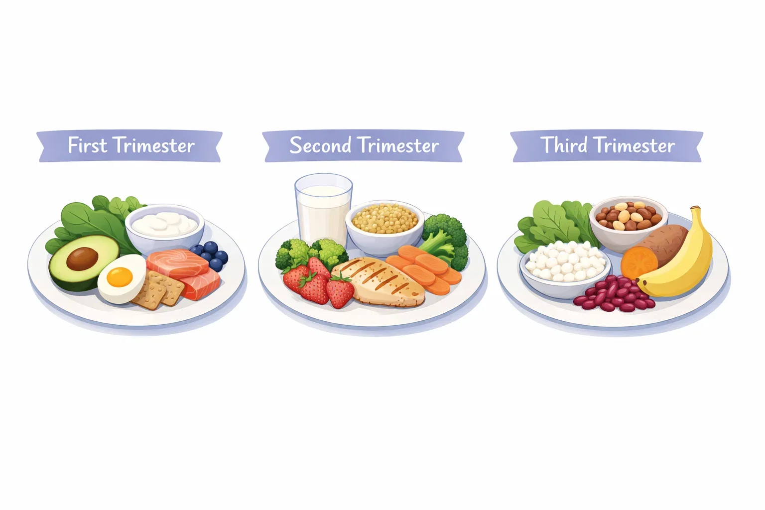 Trimester-wise pregnancy diet plan illustrating nutrition needs across pregnancy stages.