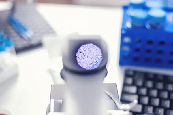 Skin & Soft Tissue Analysis