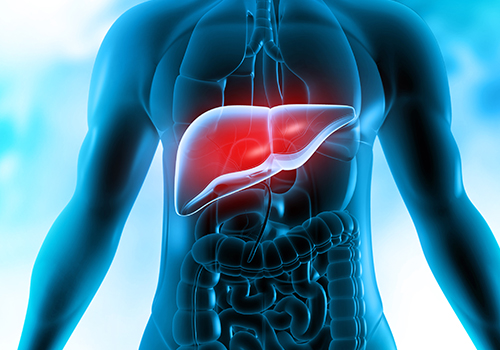 Types of Liver Failures Treated by Interventional Radiology